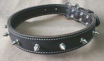  Double Leather Collar with pins 1 1/4" X 28"